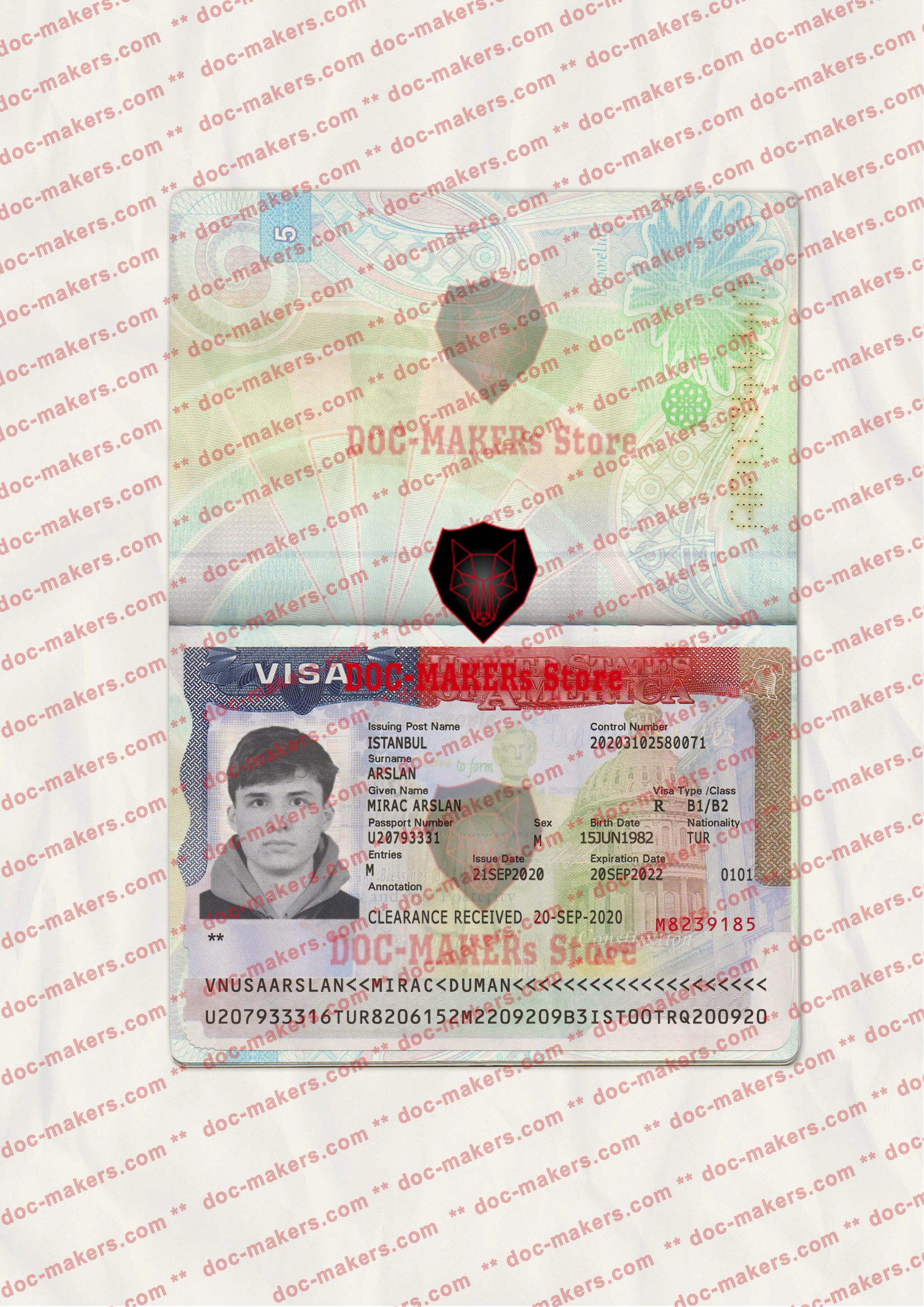 USA Visa Sticker + Photo Look – PSD Template